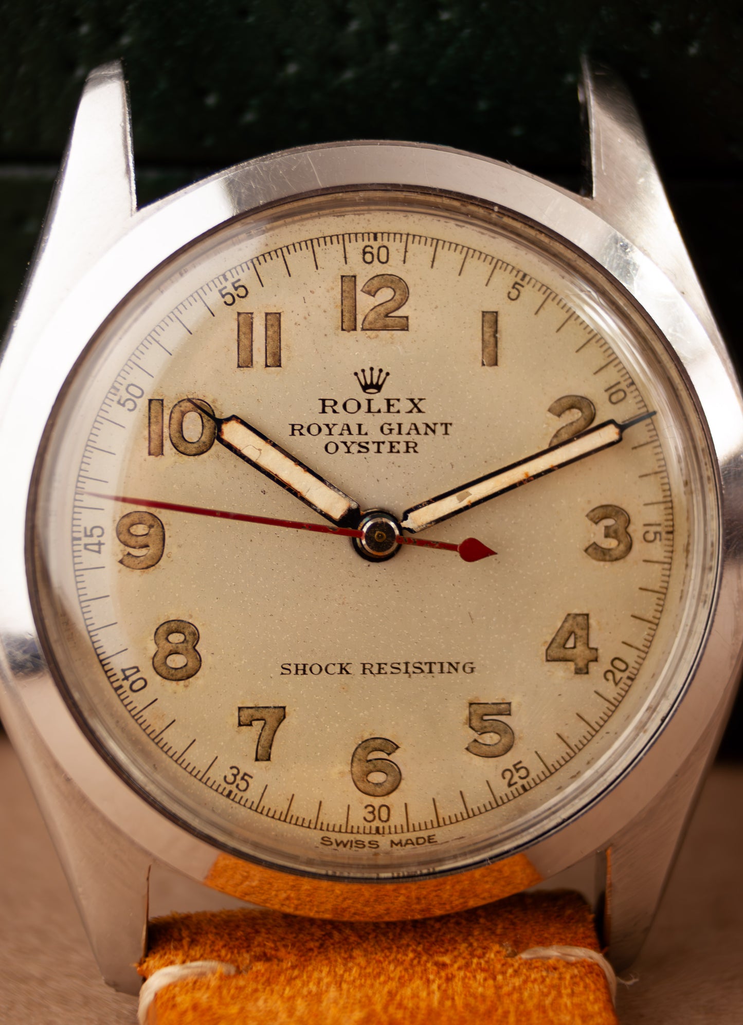 Rolex Royal Giant Oyster 34