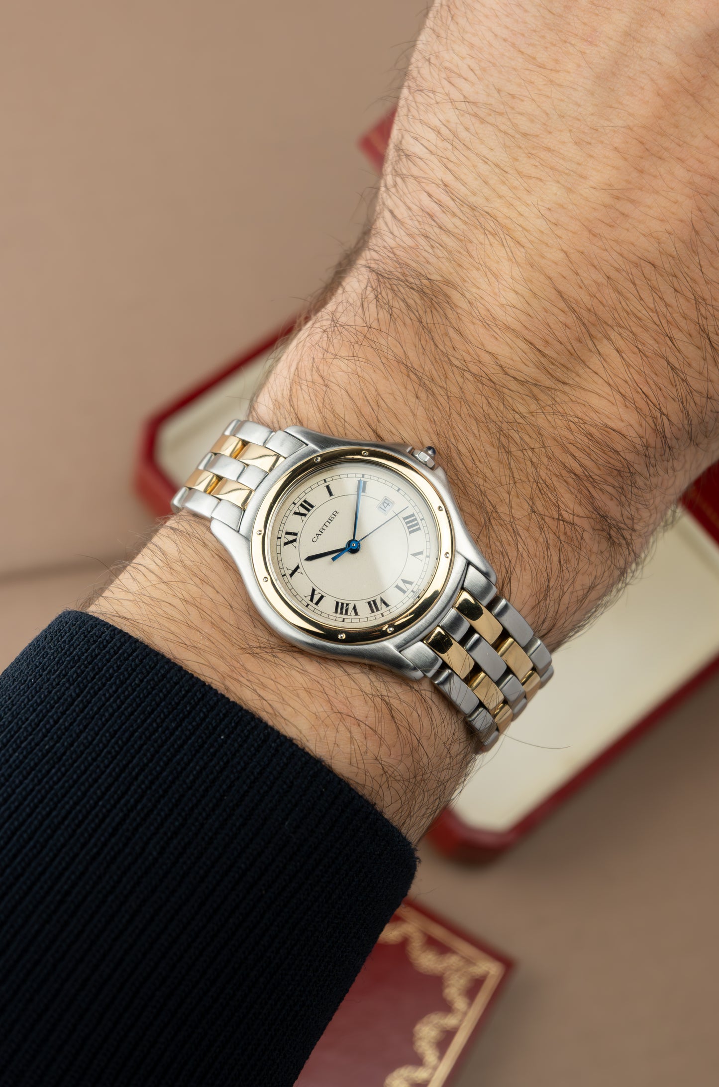 Cartier Panthère Cougar XL