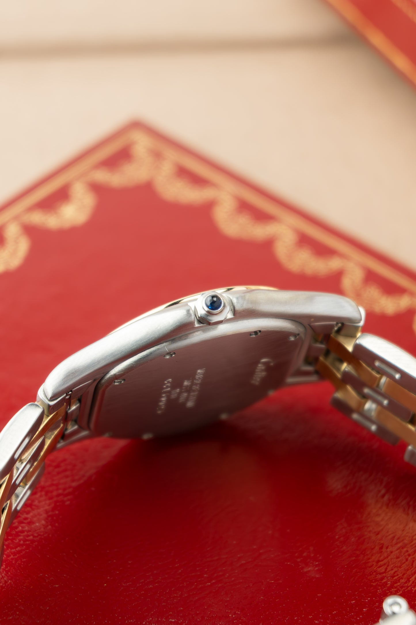 Cartier Panthère Cougar XL