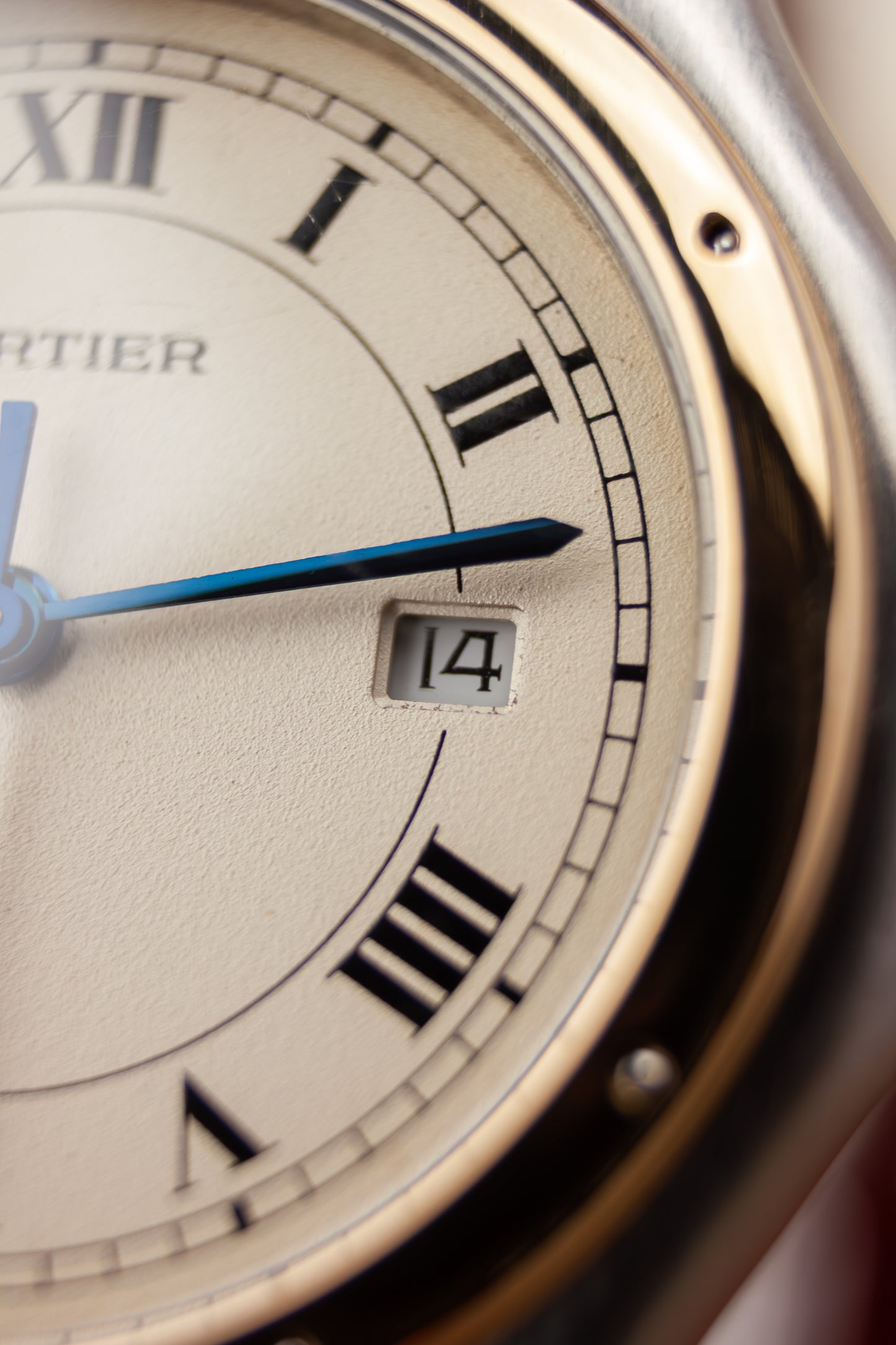 Cartier Panthère Cougar XL