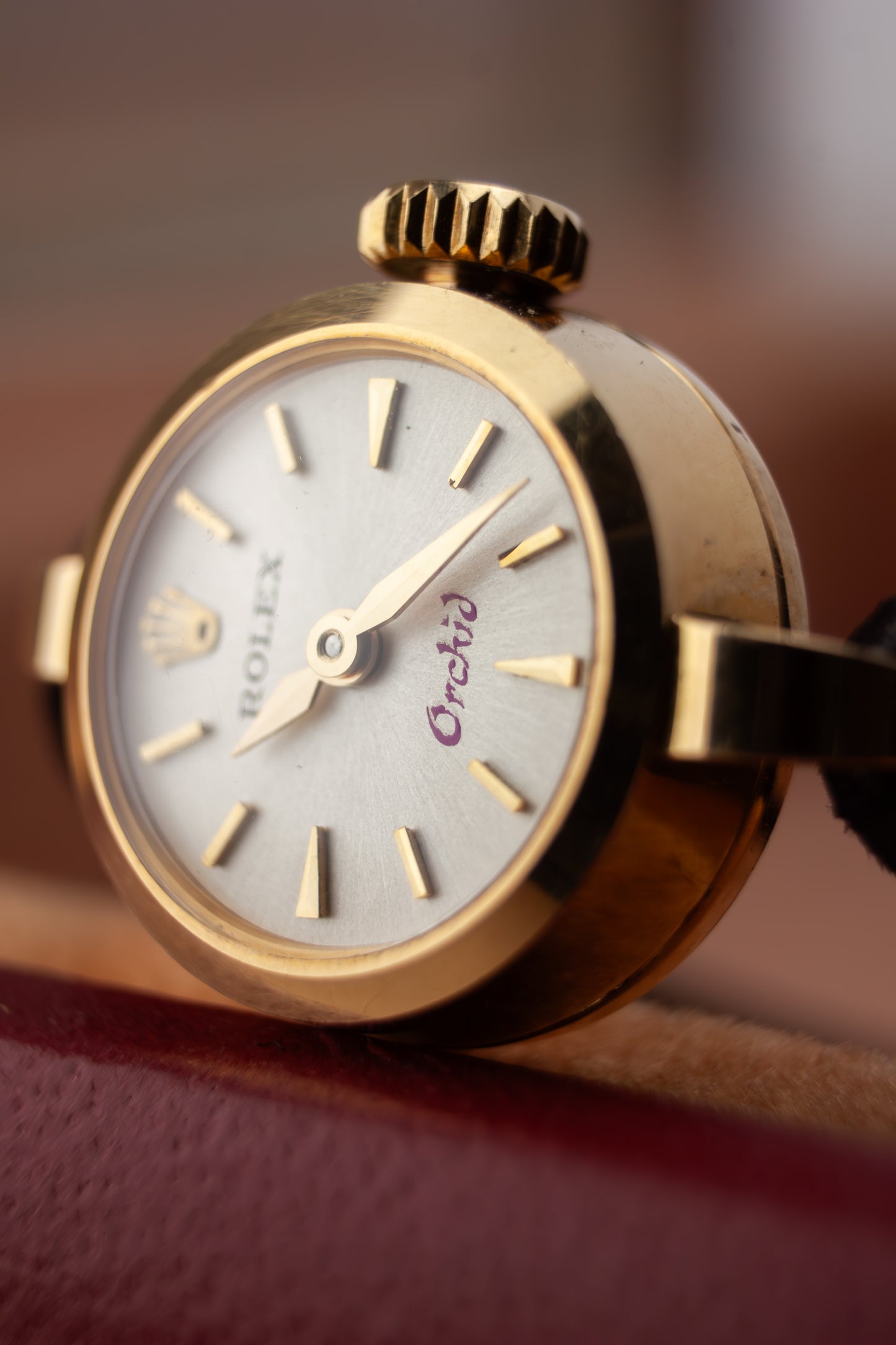 Rolex Orchid 15